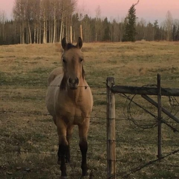 Meet your Posher, Trista - Picture 1 of 1